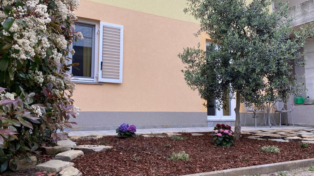 Sea View Olive Retreat *
