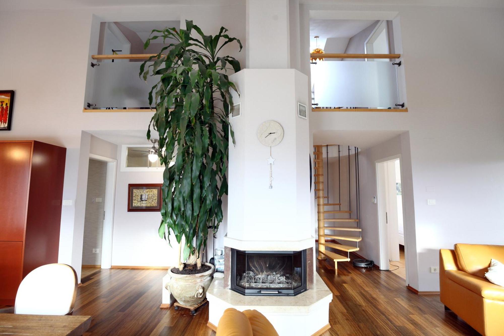 Sea View Olive Retreat