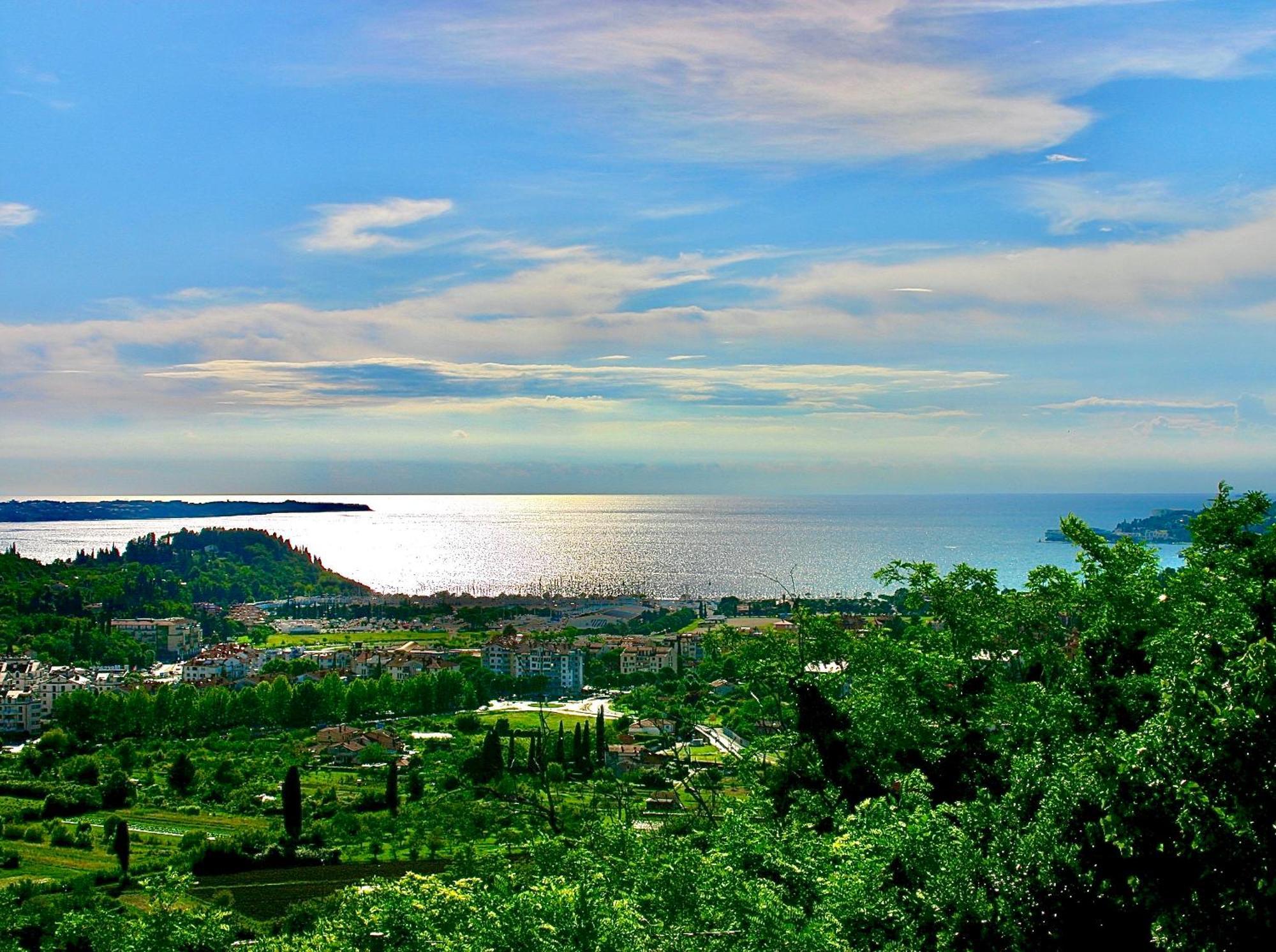 Sea View Olive Retreat Apartment *