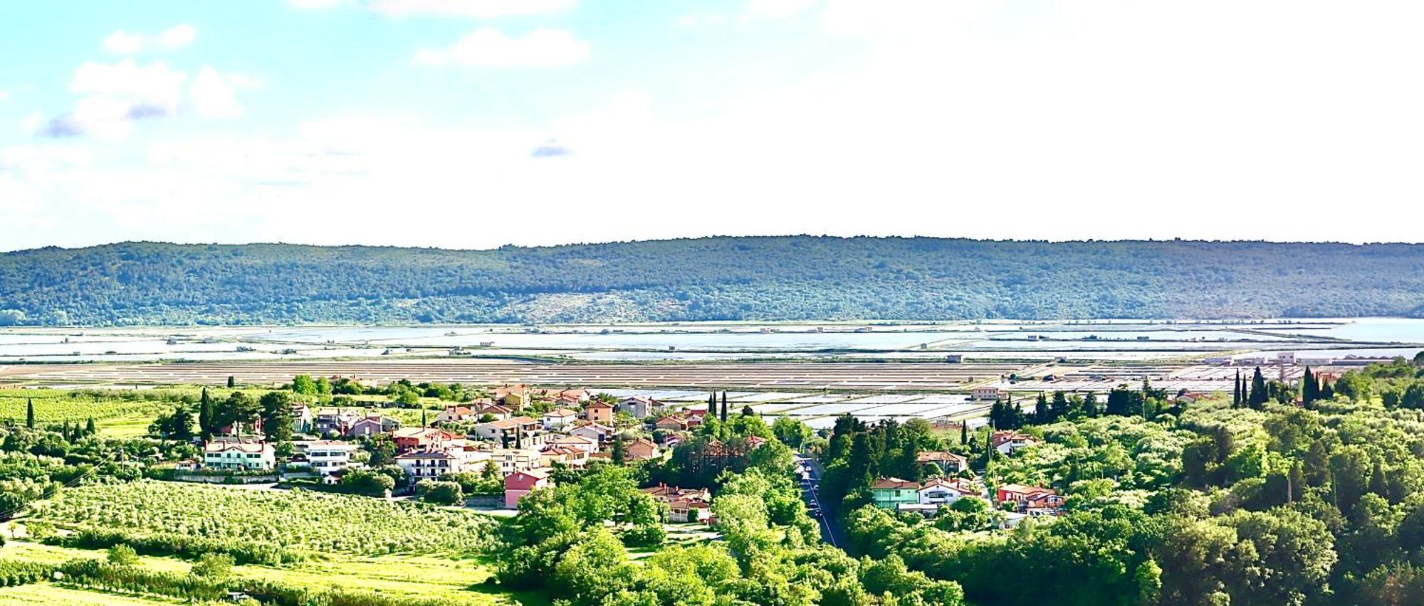 Appartement Sea View Olive Retreat *