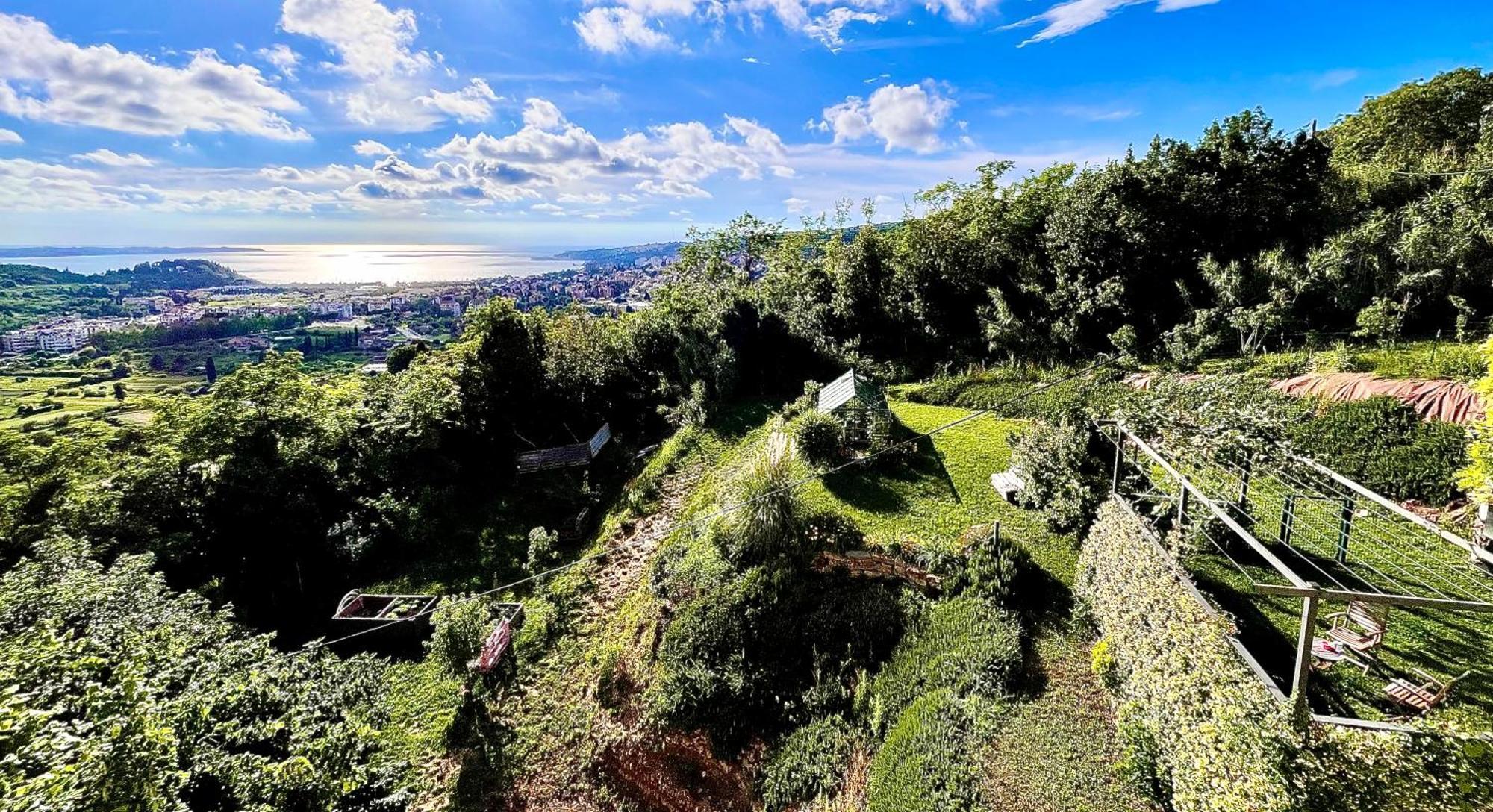 Sea View Olive Retreat *